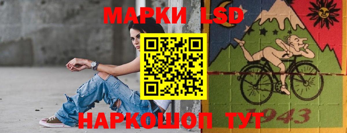 А ПВП Елец