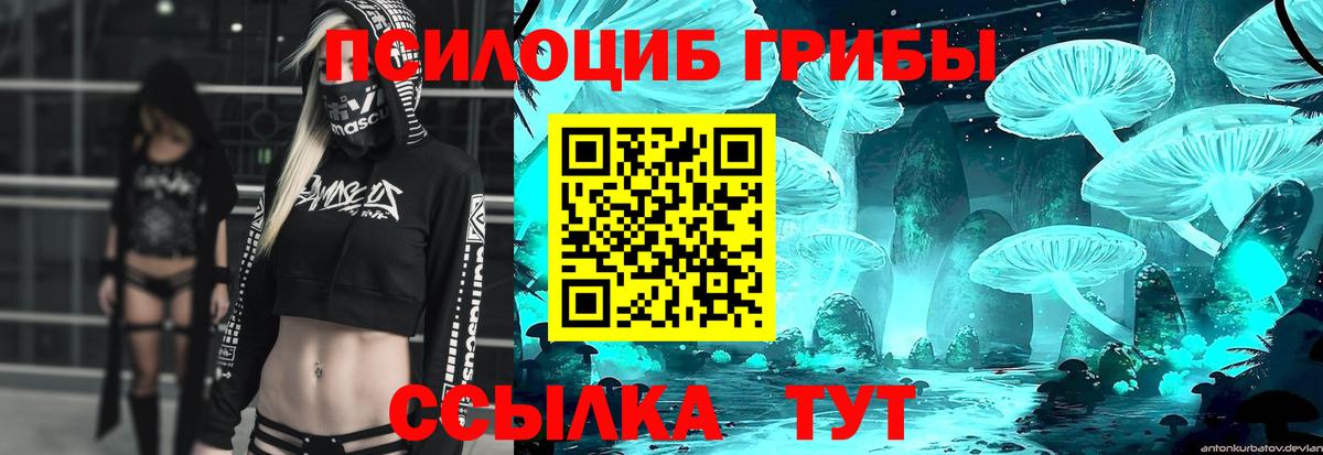 Галлюциногенные грибы прущие грибы Елец