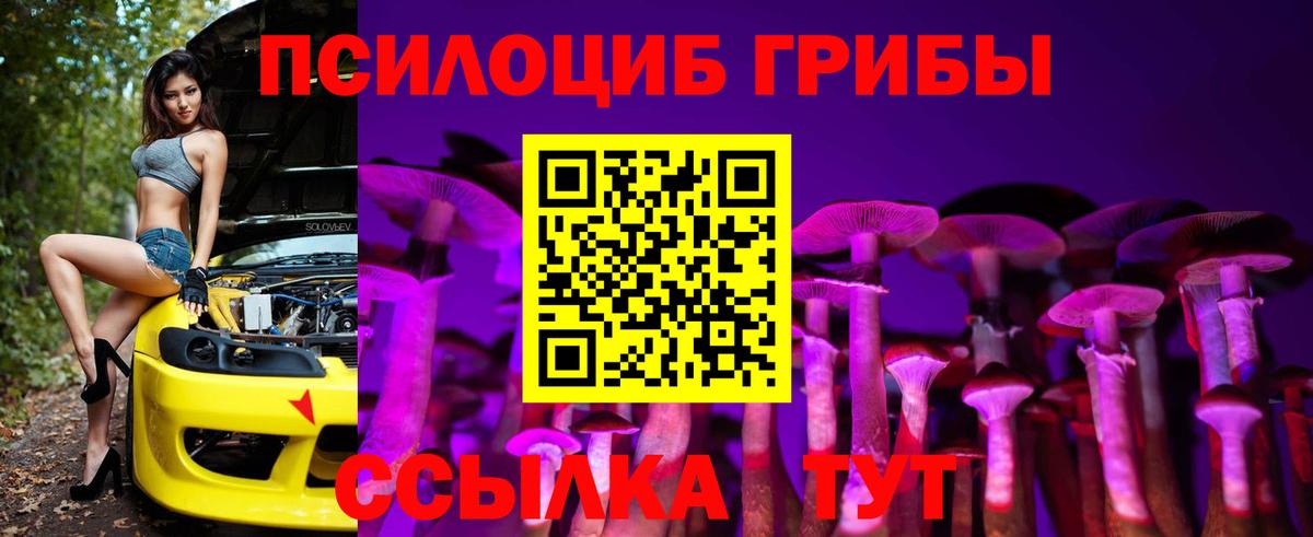 Елец  Псилоцибиновые грибы MAGIC MUSHROOMS  Вход с VPN  Псилоцибиновые грибы Cubensis 